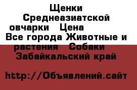 Щенки Среднеазиатской овчарки › Цена ­ 30 000 - Все города Животные и растения » Собаки   . Забайкальский край